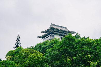 2023年首款 《荒岛求生》未预告突然加入XGP